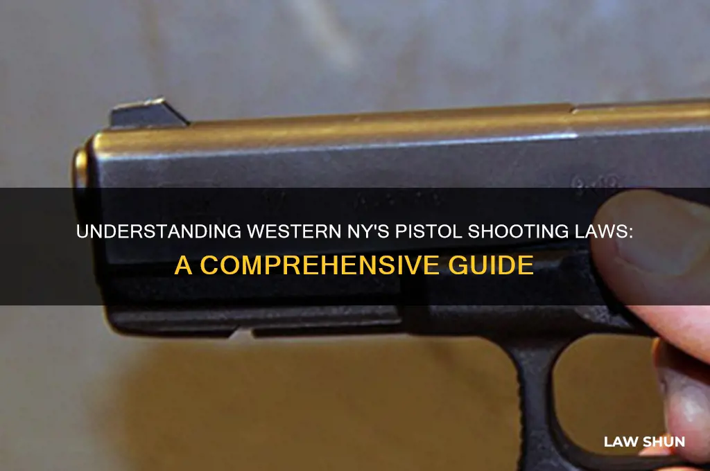 what are rge laws of pistal shooting in western ny