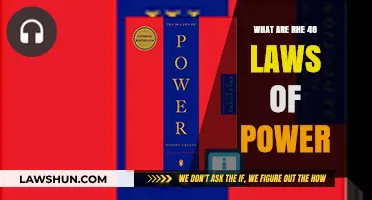 Mastering Influence: Exploring the 48 Laws of Power Strategies
