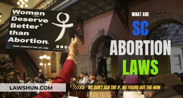 South Carolina's Abortion Laws: Understanding the Current Landscape