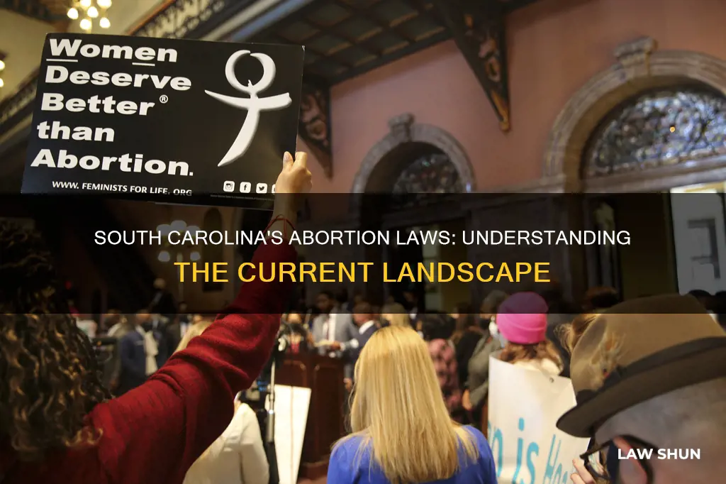 what are sc abortion laws