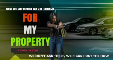 Tennessee Self-Defense Laws: Protecting Your Property Rights Explained