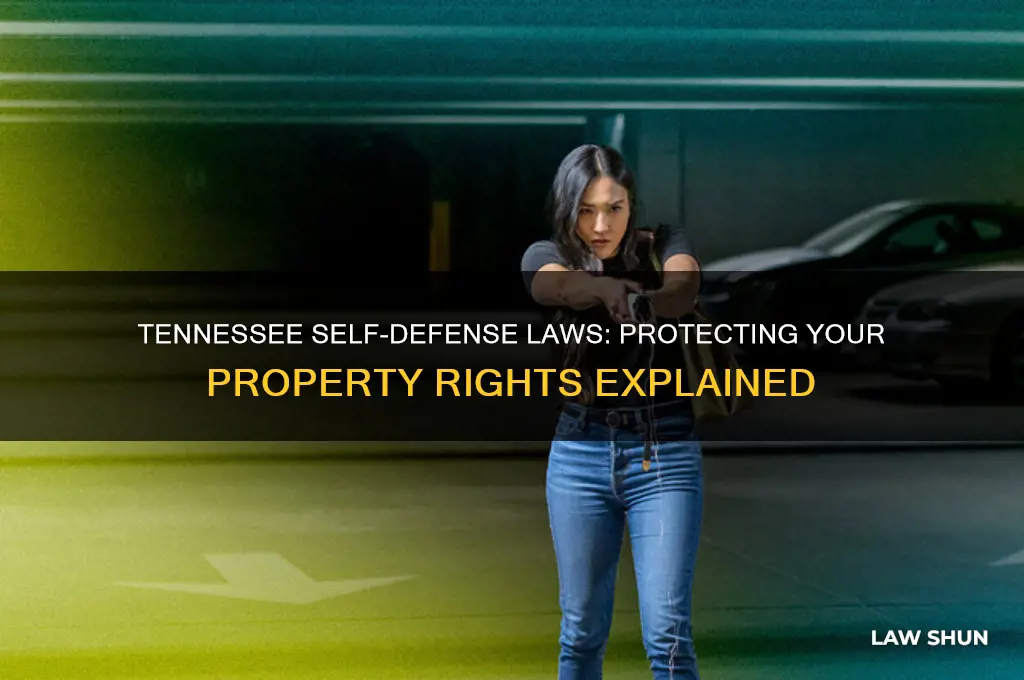 what are self defense laws in tennessee for my property