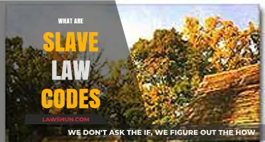 Understanding Slave Law Codes: Origins, Impact, and Historical Context