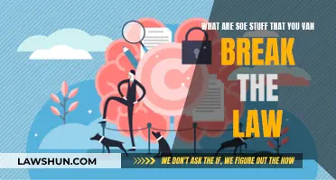 Breaking the Law: Everyday Actions that Cross the Line