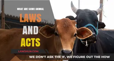 Understanding Animal Welfare: Key Laws and Acts Protecting Wildlife