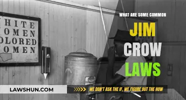 Understanding the Past: Jim Crow Laws Explained