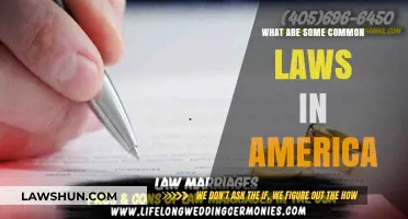 Laws of the Land: Understanding America's Common Statutes