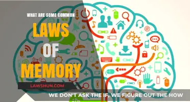 Memory Laws: Understanding the Science of Recall
