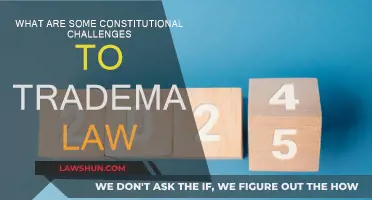 Trademark Law: Constitutional Challenges and Their Legal Impact