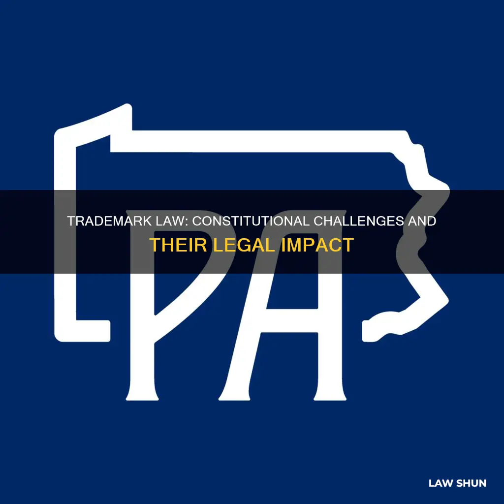what are some constitutional challenges to trademark law