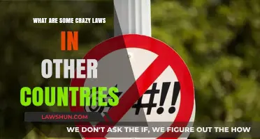 Bizarre Global Laws: Unbelievable Rules You Won't Believe Exist