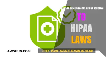Ignoring HIPAA Laws: Risks, Penalties, and Patient Data Breaches