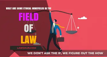 Navigating Ethical Dilemmas: Complex Challenges in the Legal Profession