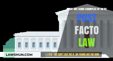 Understanding Ex Post Facto Laws: Real-World Examples and Implications