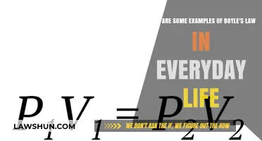 Everyday Applications of Boyle's Law: Real-Life Examples Explained