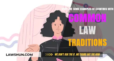 Common Law Countries: Examples and Their Traditions
