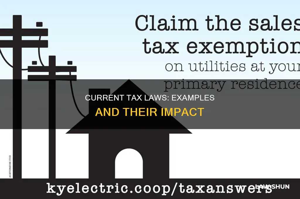 what are some examples of current tax laws