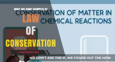 Exploring Real-World Examples of the Law of Conservation