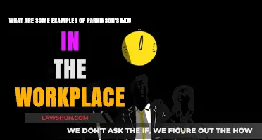Parkinson's Law in Action: Workplace Examples and Time Management Tips