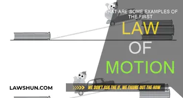 Everyday Examples of Newton's First Law of Motion