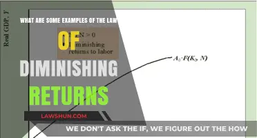 Understanding Diminishing Returns: Real-World Examples and Economic Impact