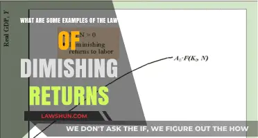 Understanding Diminishing Returns: Real-World Examples and Economic Insights