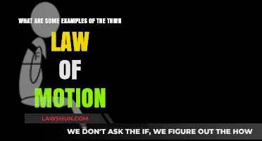 Exploring Real-Life Examples of Newton's Third Law of Motion