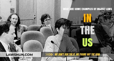 Unjust Laws in America: Examples of Inequality and Injustice