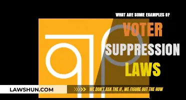 Voter Suppression Laws: Examples and Impact on Democracy
