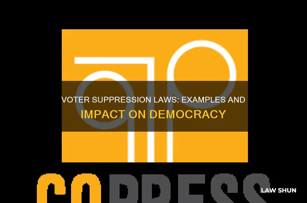 Voter Suppression Laws: Examples And Impact On Democracy | LawShun