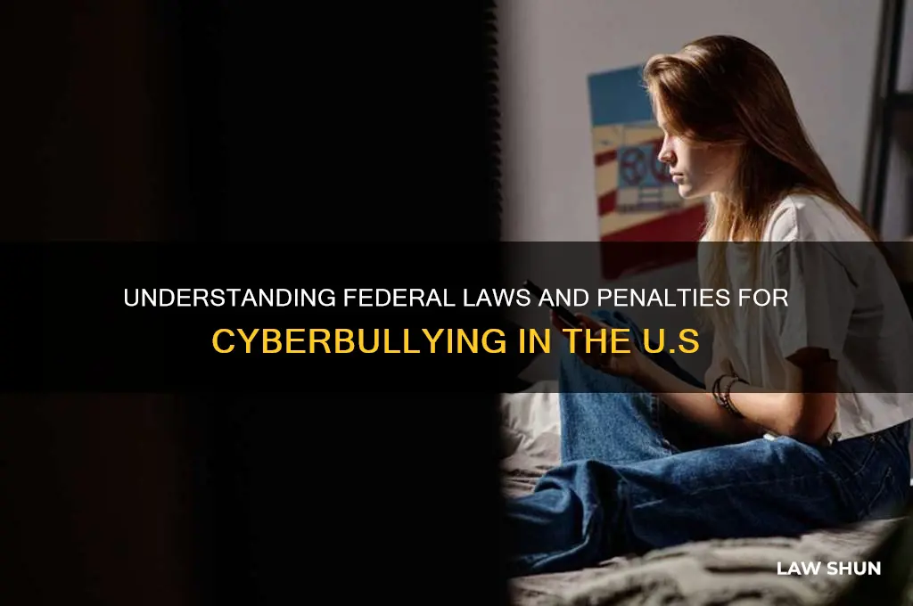 what are some fedaral laws against cyberbullying and the consequences