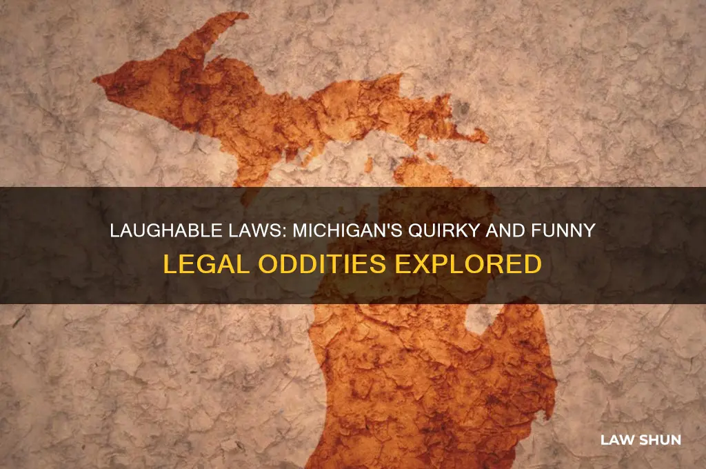 what are some funny laws in michigan