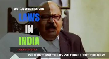 Weird Indian Laws: Strange but True!