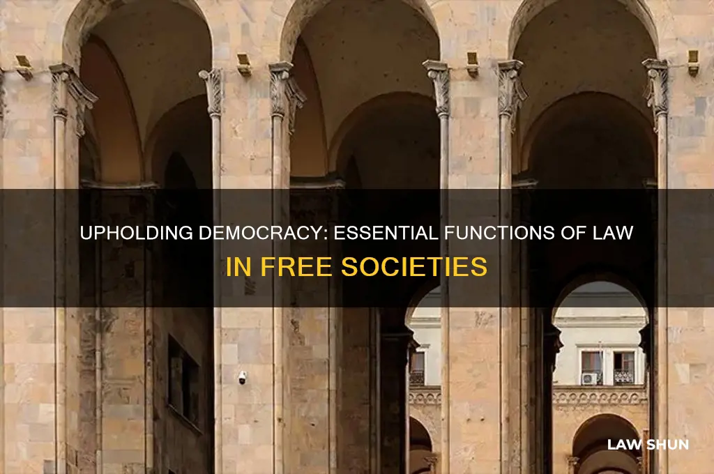 what are some key functions of law in democratic societies