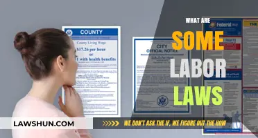 Understanding Labor Laws: Essential Rights and Protections for Workers