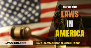 Exploring the Legal Landscape: Key Laws in America