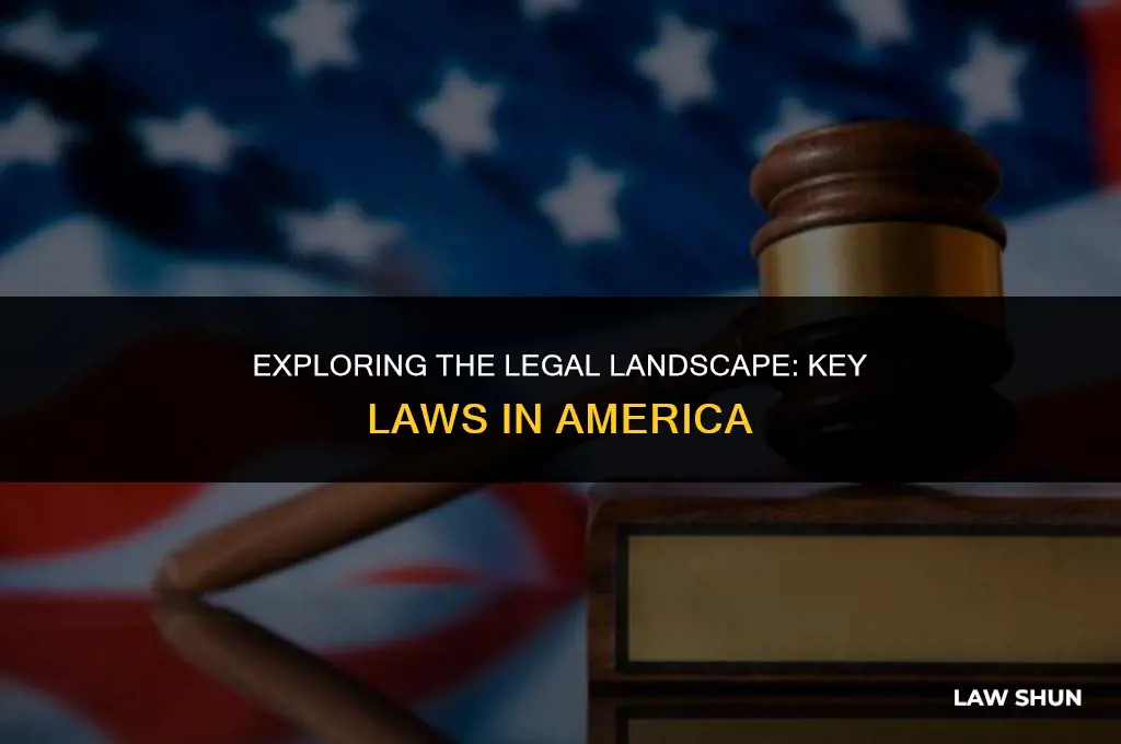 what are some laws in america