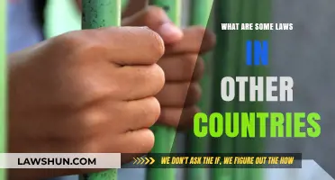 Exploring Unique Legal Systems: Laws Around the World Unveiled