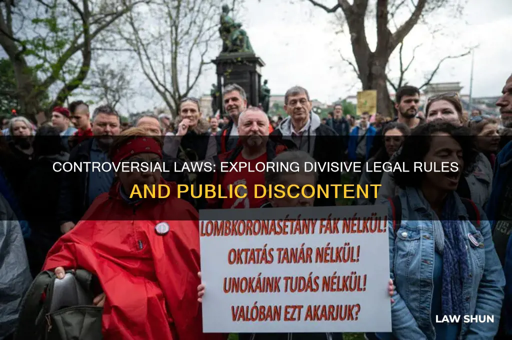what are some laws many people disagree with