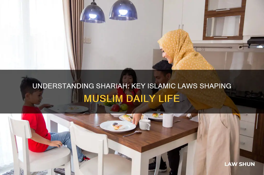 what are some laws of shariah that guide muslims lives