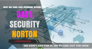 Norton's Guide to Internet and Data Security Laws Explained