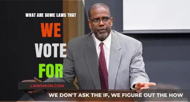 Understanding the Laws We Vote For: A Guide to Civic Participation