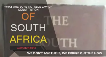 South Africa's Constitution: Notable Laws and Their Impact