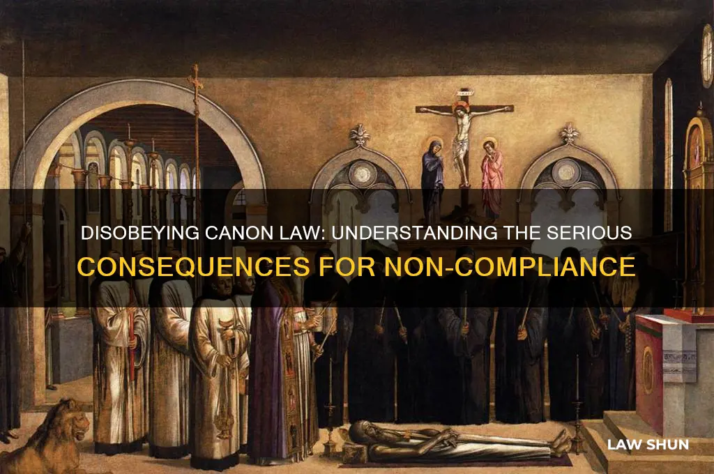 what are some of the consequences for disobeying canon law
