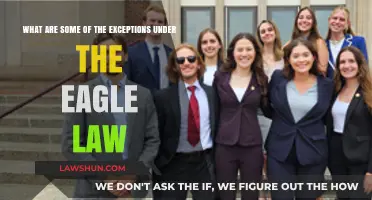Understanding Key Exceptions to the Eagle Law: A Comprehensive Guide