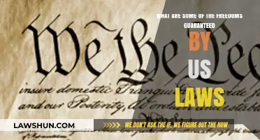 Understanding the Fundamental Freedoms Protected by US Laws