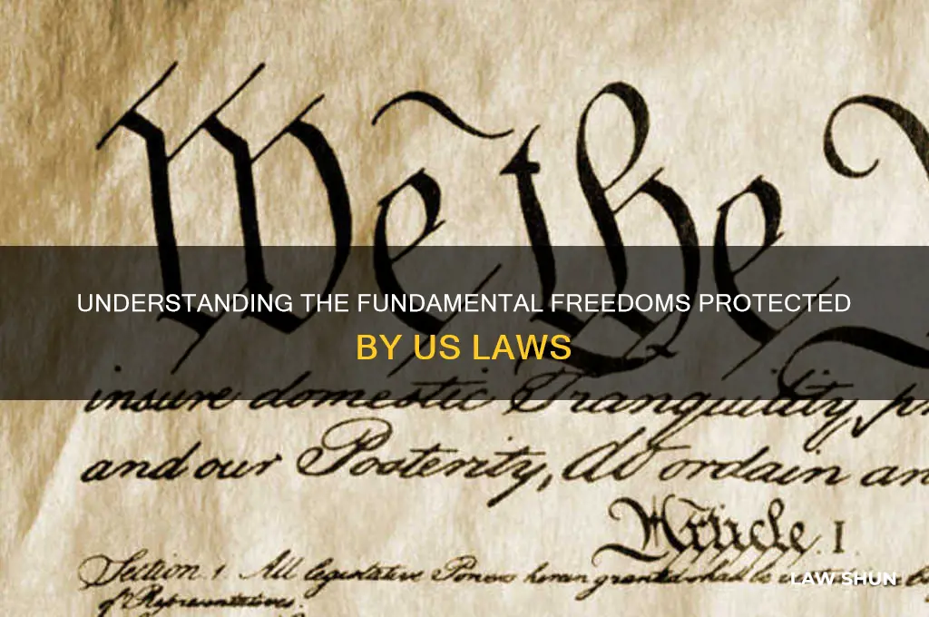 what are some of the freedoms guaranteed by us laws