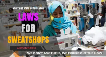 Sweatshop Labor Laws: Protecting Workers' Rights and Ensuring Fair Conditions