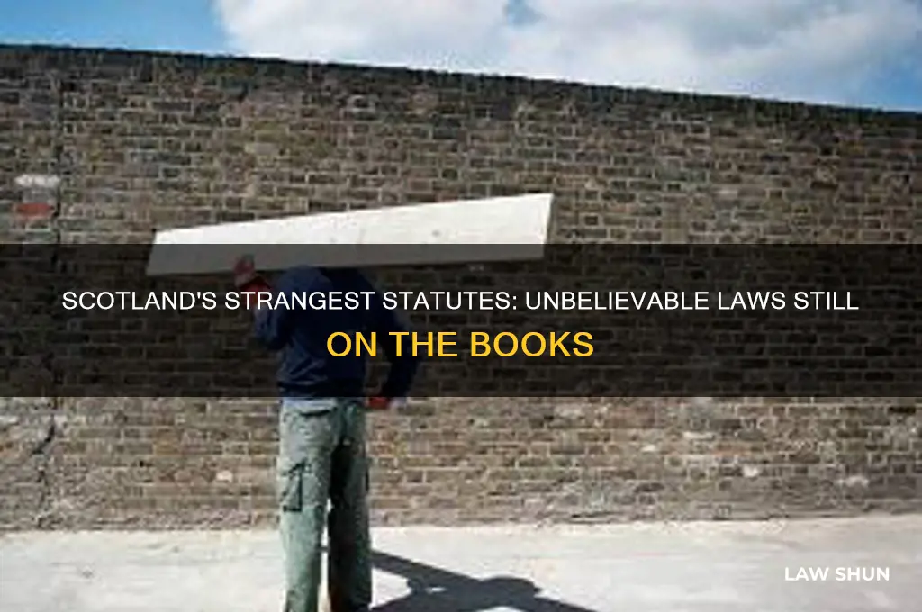 what are some of the most insane laws in scotland
