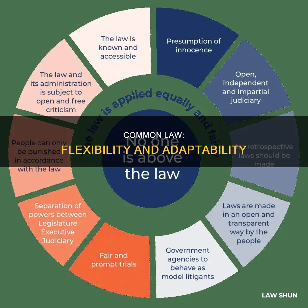 what are some of the positives of the common law